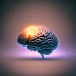 The brain develops rapidly during the early years.